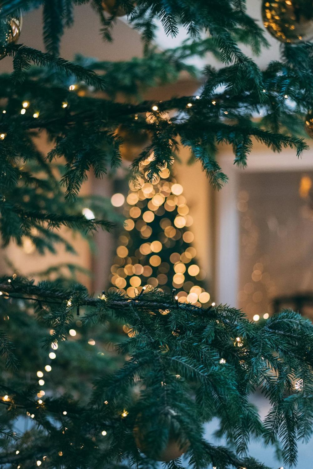 Inertia image. © Pexels