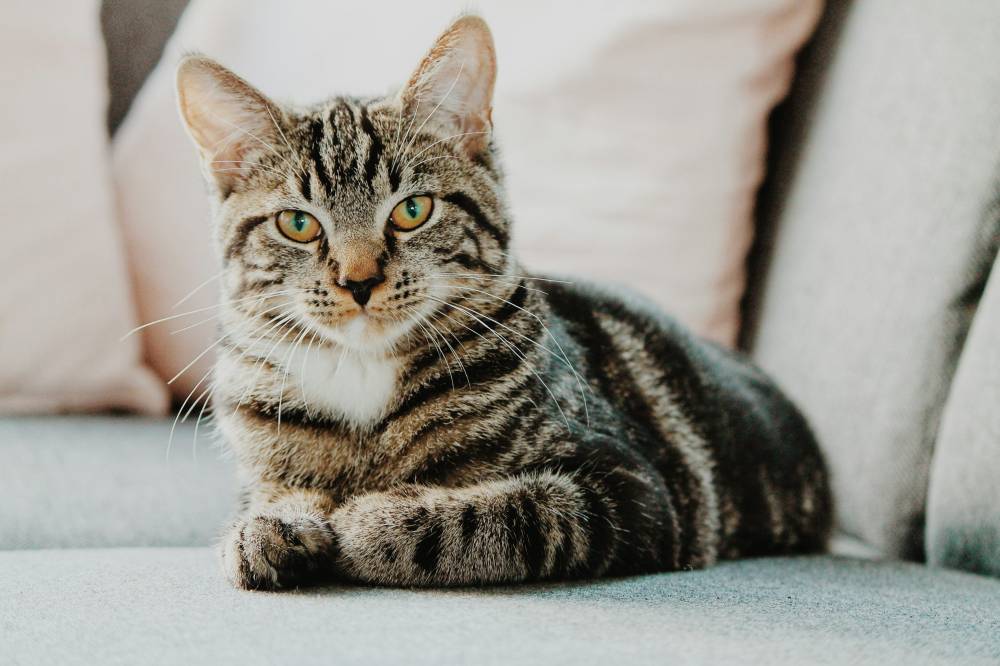 Inertia image. © Pexels